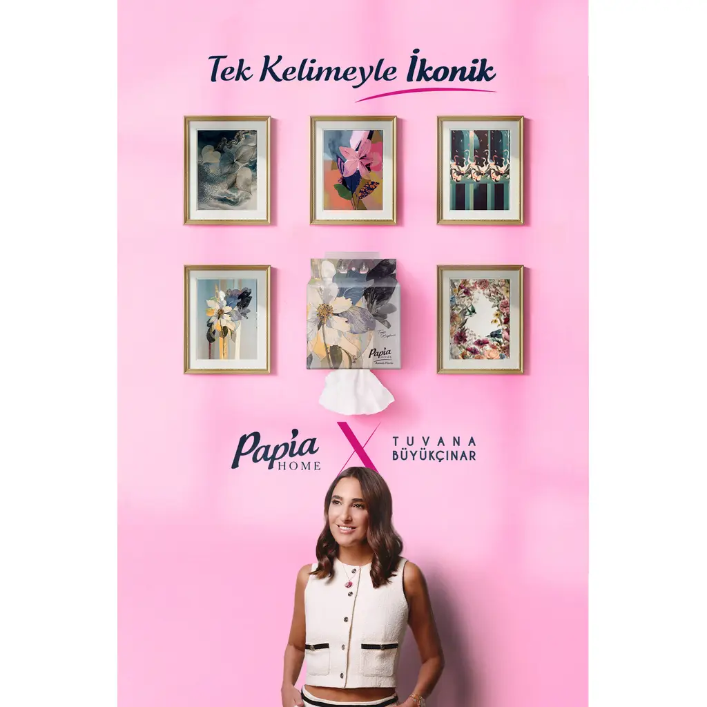 Home Asmalı Havlu 750 Yaprak (2 Paketx250 Yaprak)